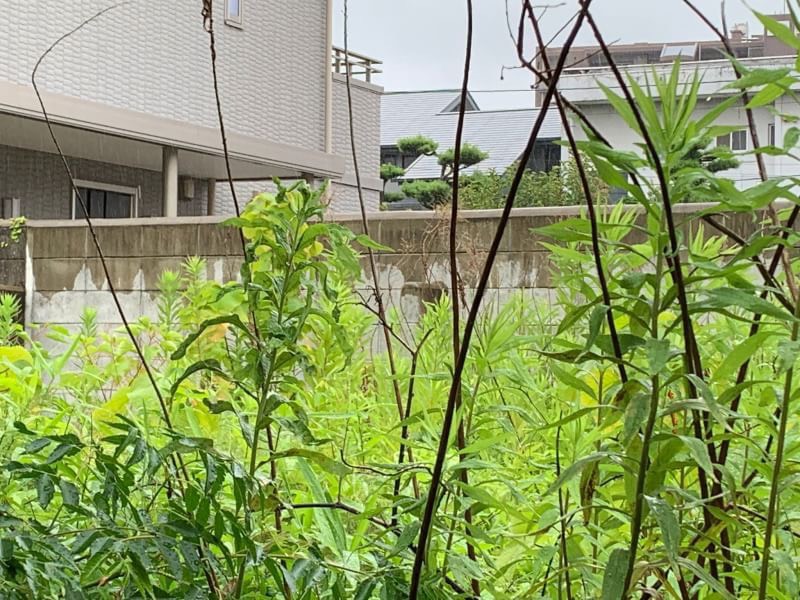愛知県 I様へのヤギレンタル