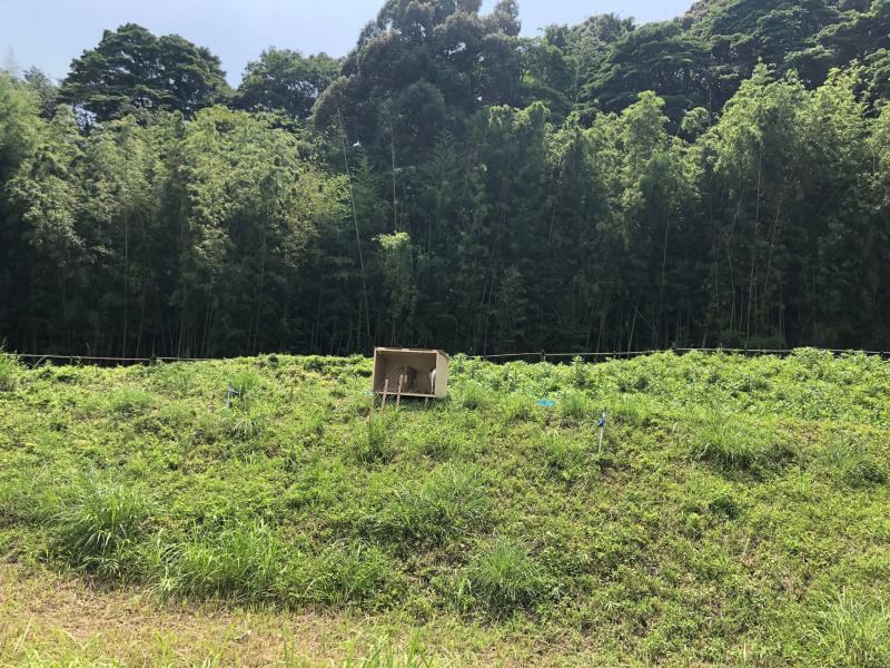 兵庫県S社様へのインタビューのご紹介