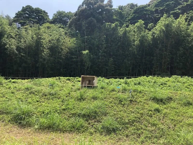三重県 T社 様へのヤギレンタル