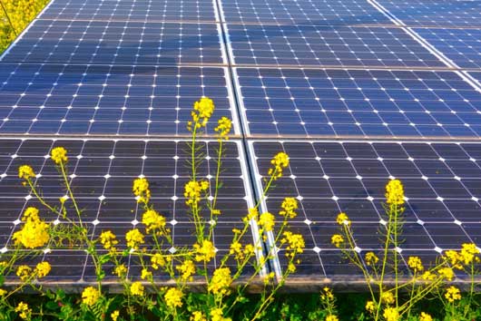 太陽光発電所