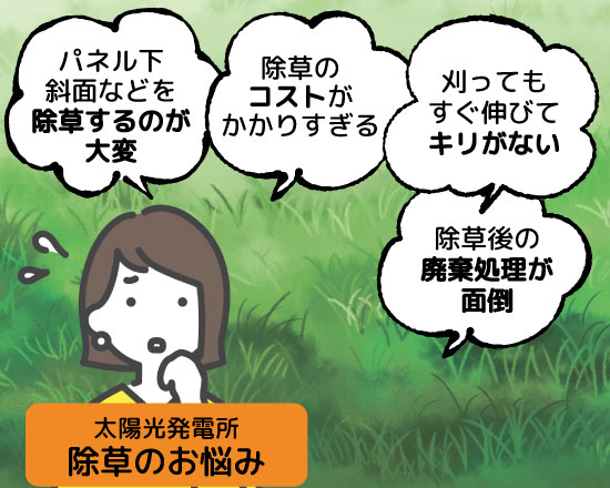 太陽光発電所の除草のお悩み