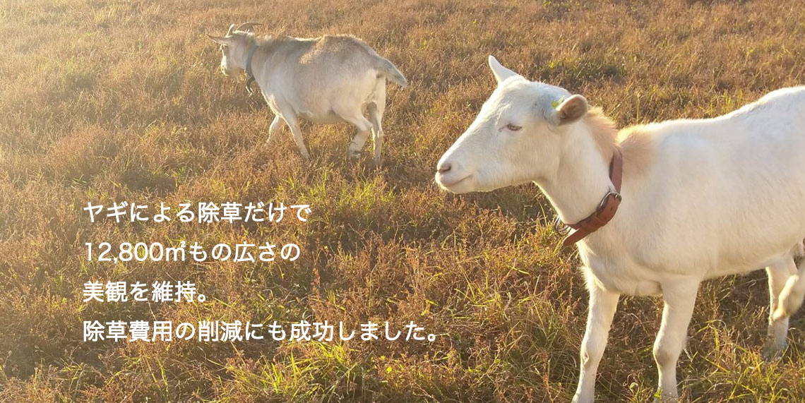 兵庫県S社様へのインタビューのご紹介