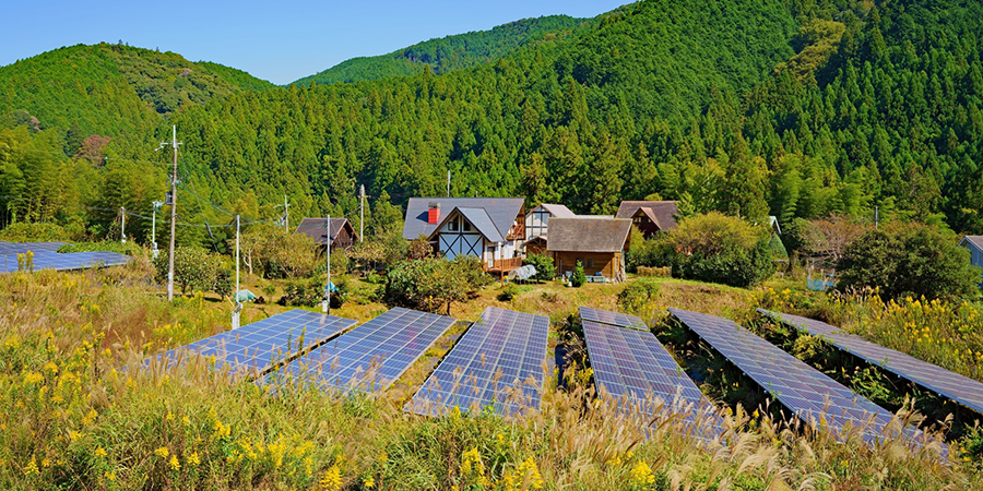 太陽光発電所でのヤギ除草