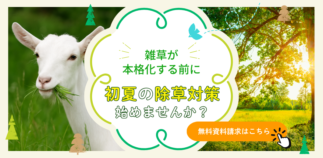 無料資料請求