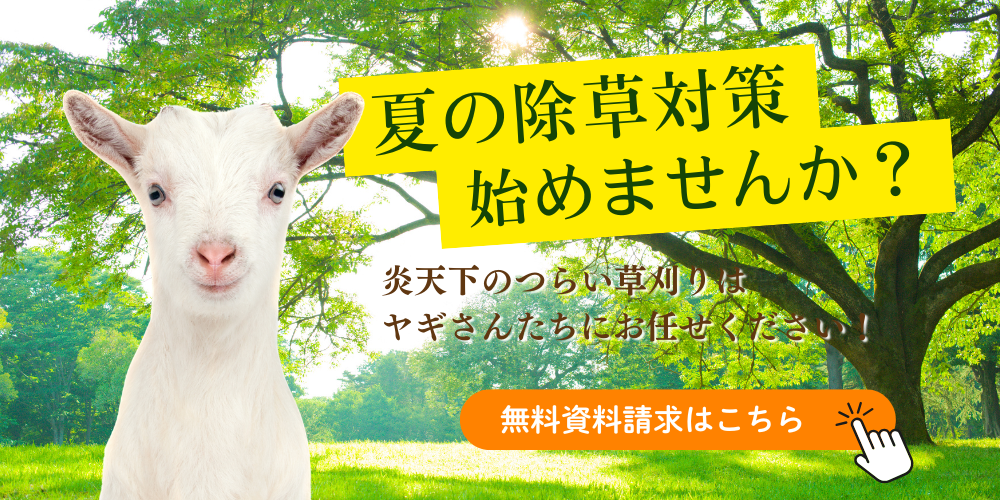 無料資料請求
