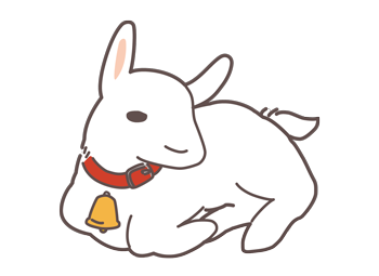 新しい家族がやってきました！（ユキちゃん）