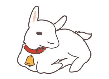 新しい家族がやってきました！（ユキちゃん）