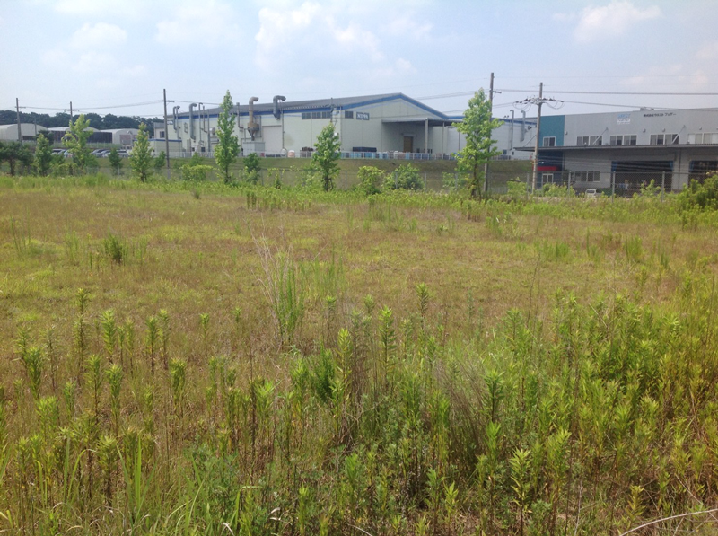 兵庫県三田市S社へのヤギレンタル