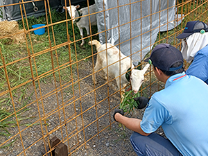 エコ除草だけじゃない！ヤギレンタルが職場と地域を変える。