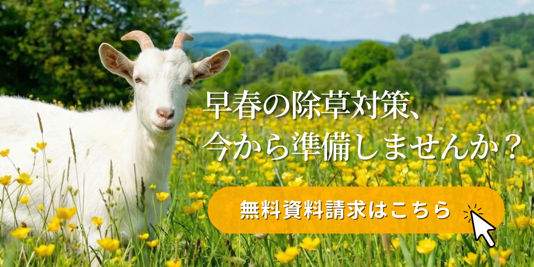 無料資料請求はこちらへ